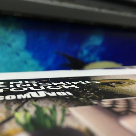 wall film acquario