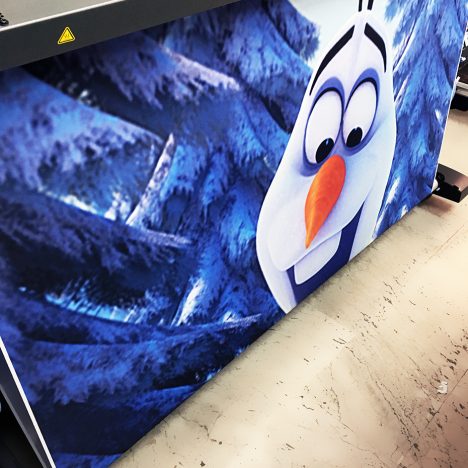 stampa tenda frozen