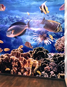 wall film acquario