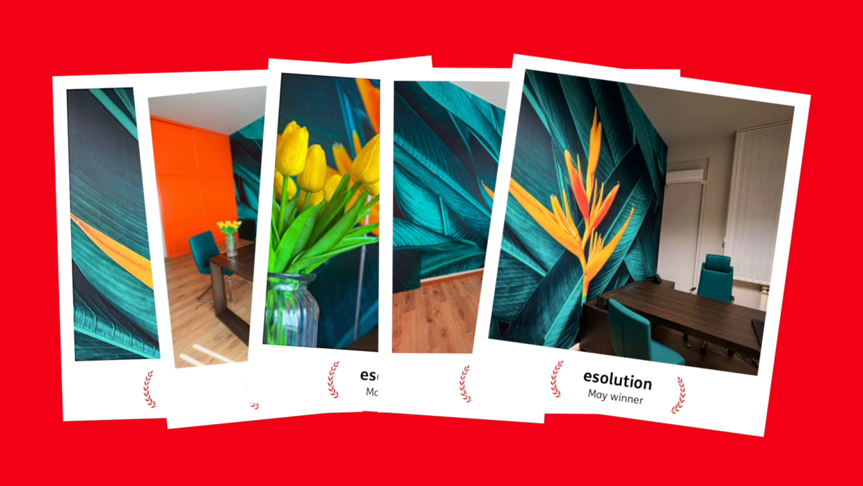 e-solution May Winner ai Mactac Creative Awards con un progetto Wall Wrap