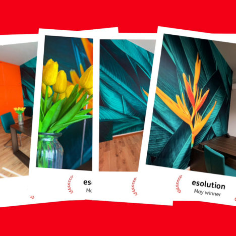 e-solution May Winner ai Mactac Creative Awards con un progetto Wall Wrap