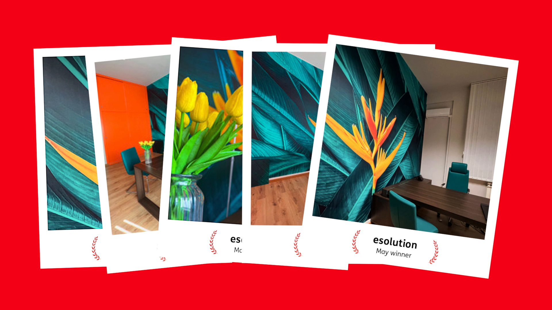 e-solution May Winner ai Mactac Creative Awards con un progetto Wall Wrap